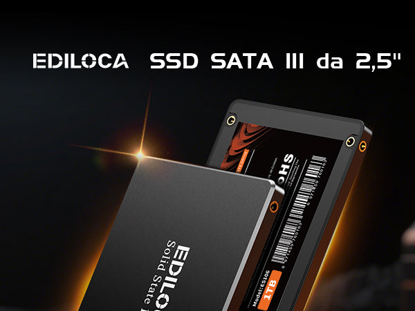 Ssd stato solido da 256 gb es106