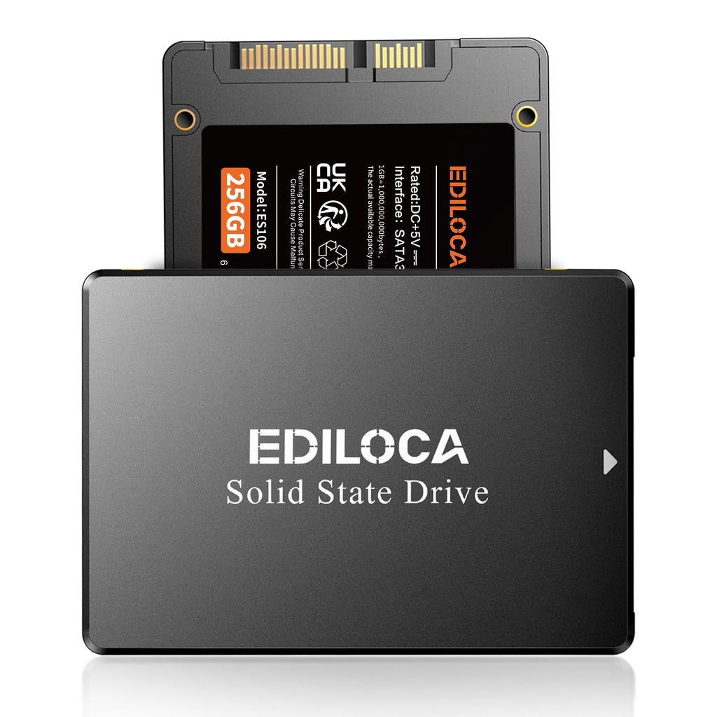 Ssd stato solido da 256 gb es106